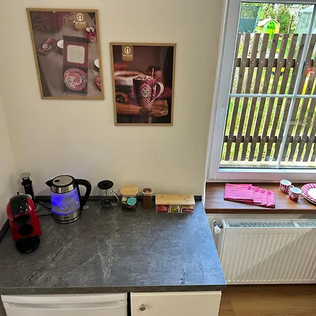 Brezova Apartment Decin